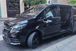 Sydney: tour privato delle Blue Mountains in inglese o tedesco