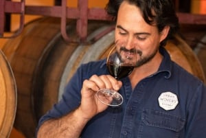 Sydney Explorer Pass: Risparmia fino al 50%* sui biglietti per le attrazioni.