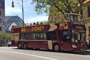 Sydney Explorer Pass: Risparmia fino al 50%* sui biglietti per le attrazioni.