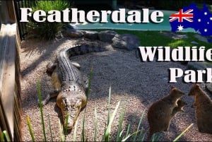 Sydney: Tagestour zum Featherdale Park & Sydney Zoo