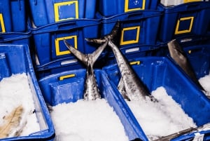 Sydney Fish Market Behind the Scenes Tour