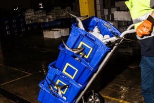 Tour del mercato del pesce di Sydney dietro le quinte