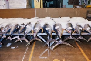 Tour del mercato del pesce di Sydney dietro le quinte