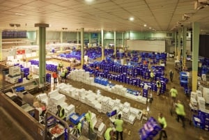 Tour del mercato del pesce di Sydney dietro le quinte