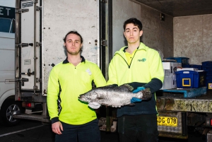 Sydney Fish Market Discovery Tour
