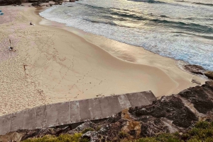 Sydney: Five Beaches One Unmissable Trail Audio Guide