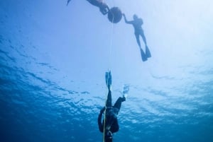 Manly: Freediving voor beginners: adem inhouden & de oceaan verkennen