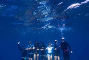 Manly: Freediving voor beginners: adem inhouden & de oceaan verkennen