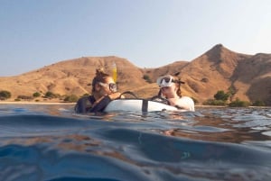 Manly: Freediving voor beginners: adem inhouden & de oceaan verkennen