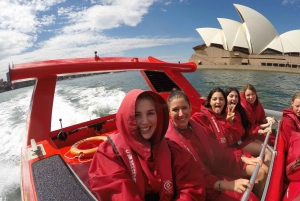 Sydney: Go City Explorer Pass - Spara på 2 till 7 attraktioner