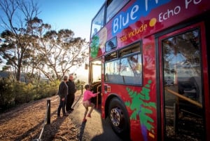 Sydney Explorer Pass: Sydney Sydney Sydney: Säästä jopa 50%* nähtävyyslipuista!