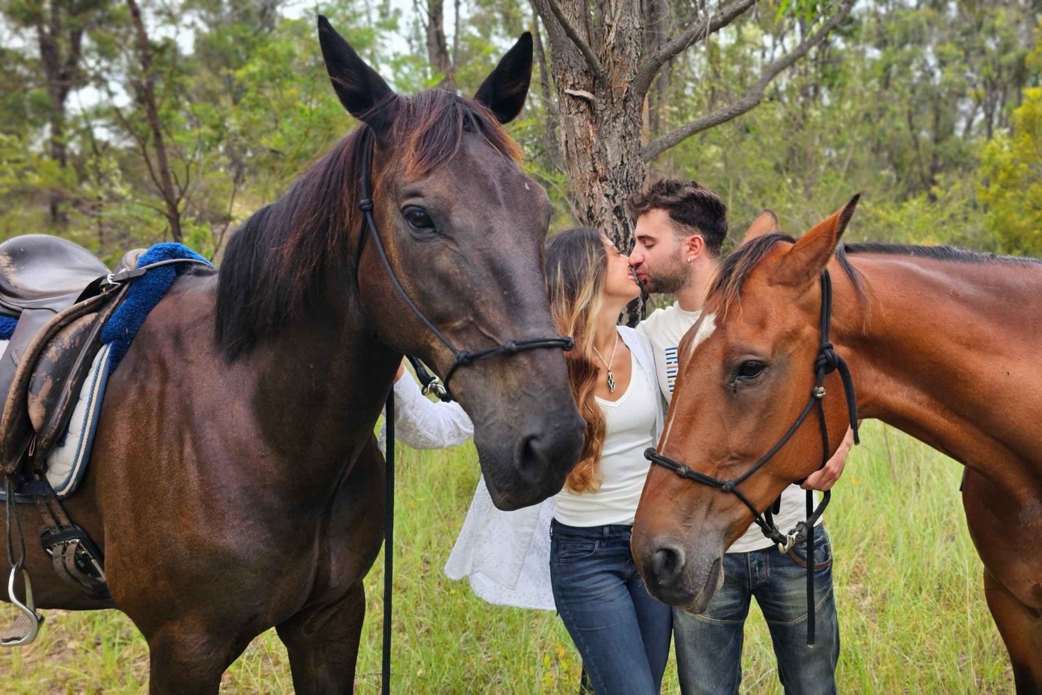Sydney: Guided 2-Hour Horseback Picnic Tour