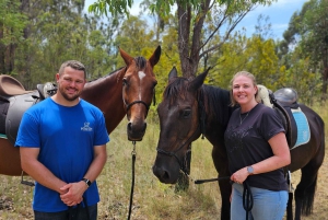 Sídney: tour guiado de 2 horas a caballo con picnic