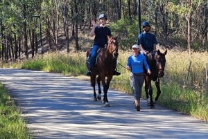 Sídney: tour guiado de 2 horas a caballo con picnic