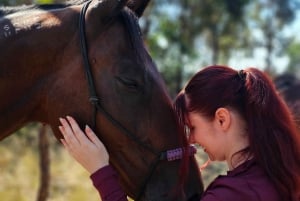 Sídney: tour guiado de 2 horas a caballo con picnic