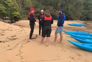 Sydney: Guided Kayak Tour of Manly Cove Beaches