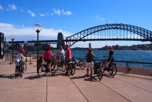 Guidet el-sykkeltur i havnen