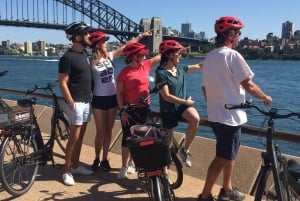Guided Harbour E-Bike Tour