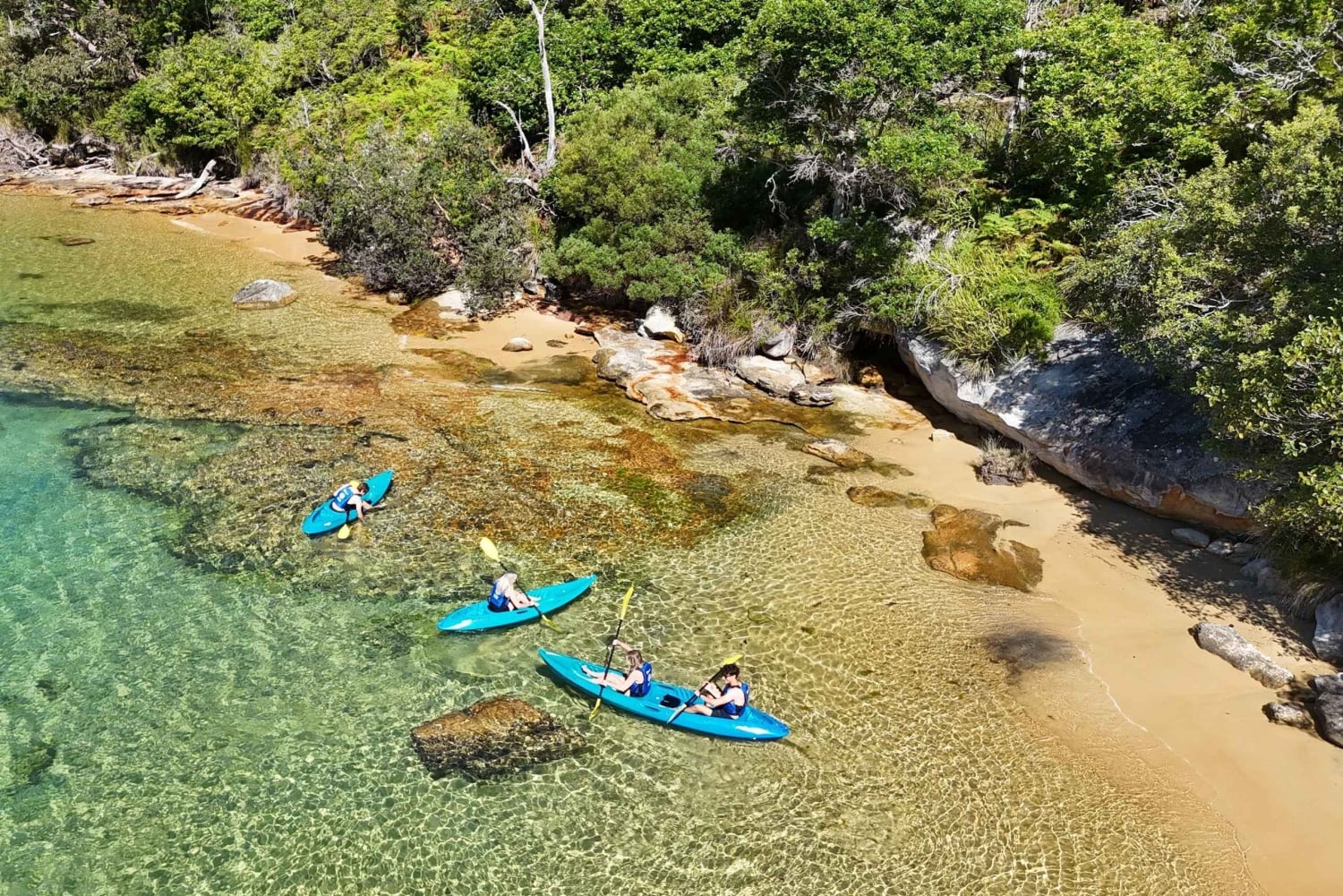 Sydney: Tour guidato di prova in kayak da Manly
