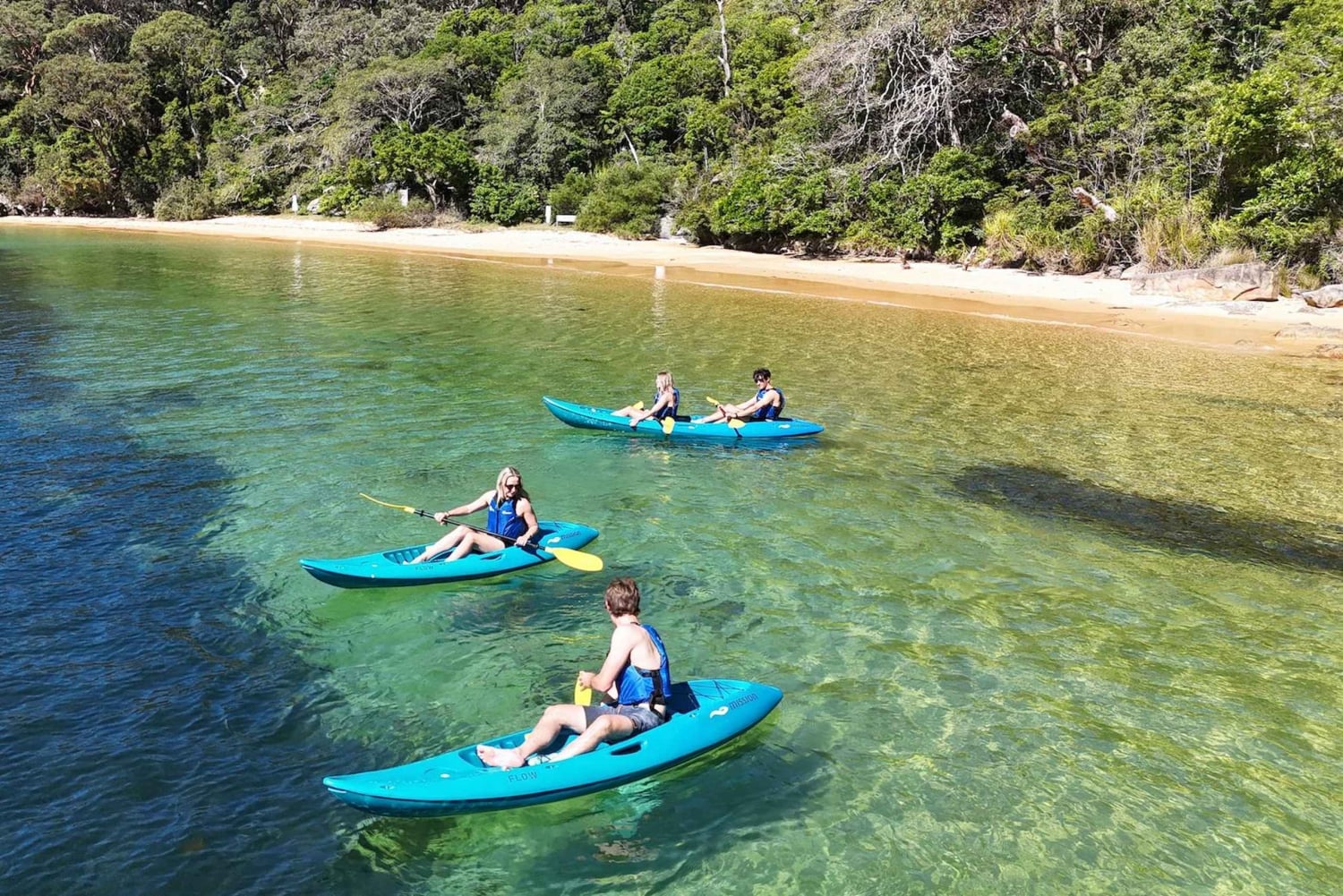 Sydney: Tour guidato di prova in kayak da Manly