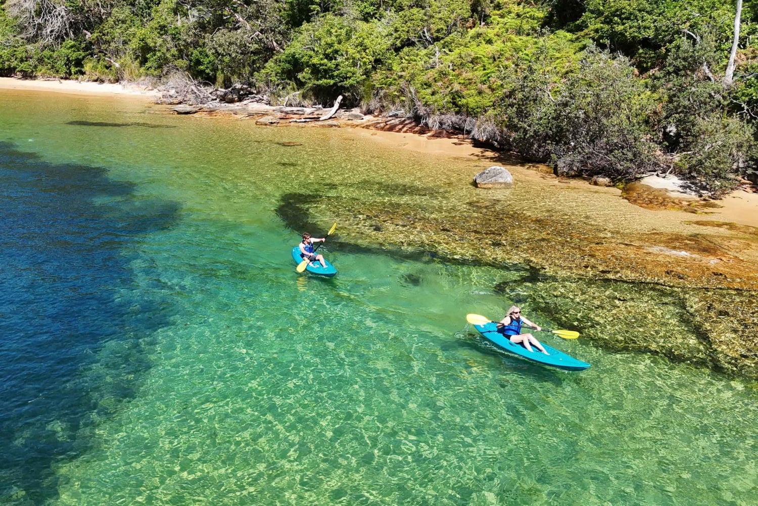 Sydney: Tour guidato di prova in kayak da Manly