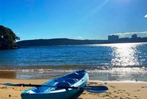 Sydney: Guided Kayak Taster Tour from Manly