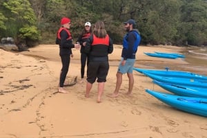 Sydney: Guided Kayak Taster Tour from Manly