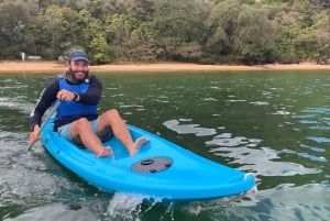 Sydney: Guided Kayak Taster Tour from Manly