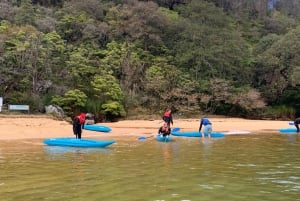 Sydney: Guided Kayak Taster Tour from Manly