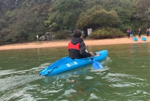 Sydney: Guided Kayak Taster Tour from Manly