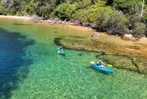 Sydney: Tour guidato di prova in kayak da Manly