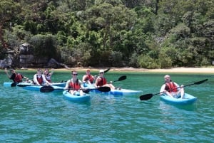 Sydney: Tour guidato di prova in kayak da Manly