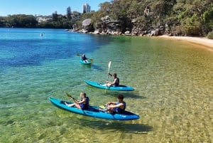 Sydney: Tour guidato di prova in kayak da Manly