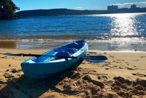 Sydney: Tour guidato di prova in kayak da Manly