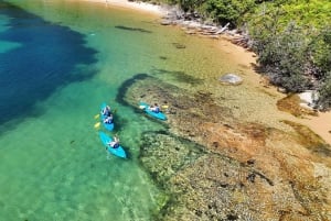 Sydney: Tour guidato di prova in kayak da Manly