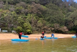 Sydney: Tour guidato di prova in kayak da Manly