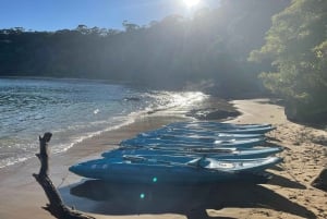 Sydney: Tour guidato di prova in kayak da Manly