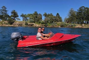 Sídney: Gran Recorrido Guiado por el Puerto de Sídney (en coche)