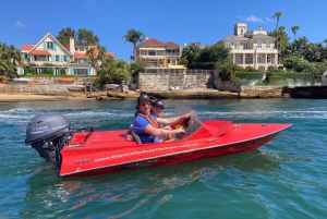 Sídney: Gran Recorrido Guiado por el Puerto de Sídney (en coche)