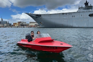 Sídney: Gran Recorrido Guiado por el Puerto de Sídney (en coche)