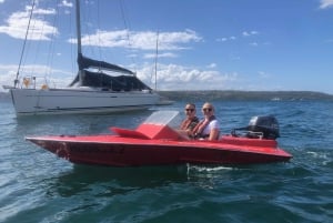 Sydney: Geführte Sydney Harbour Grand Tour (Selbstfahrer)