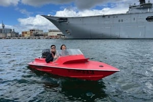 Sydney: Geführte Sydney Harbour Grand Tour (Selbstfahrer)