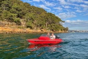 Sydney: Geführte Sydney Harbour Grand Tour (Selbstfahrer)
