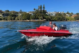 Sydney: Geführte Sydney Harbour Grand Tour (Selbstfahrer)