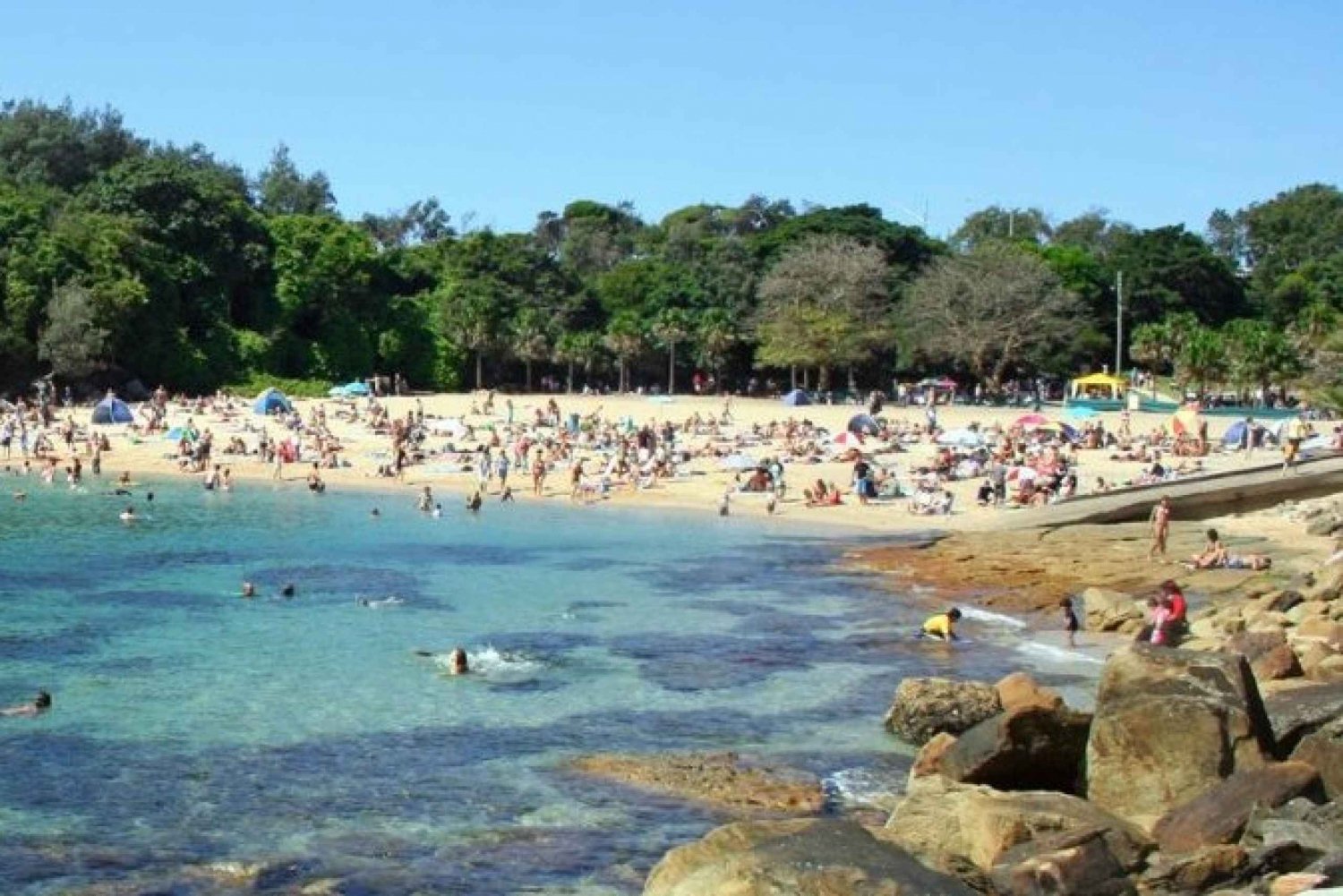 Sydney: tour privato di mezza giornata delle spiagge settentrionali di Sydney