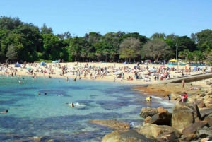 Sydney: Half-Day Private Tour of Sydney's Northern Beaches