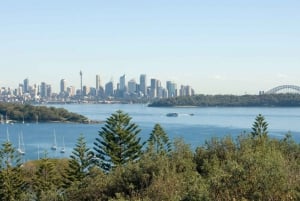 Sydney: Excursão particular de meio dia pelas praias do norte de Sydney