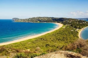 Сидней: частный тур на полдня по северным пляжам Сиднея