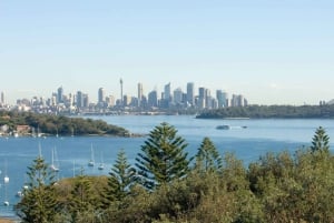 Сидней: частный тур на полдня по северным пляжам Сиднея