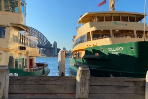 Sydney Halve dag privétour: bekijk Opera House, Bondi Beach